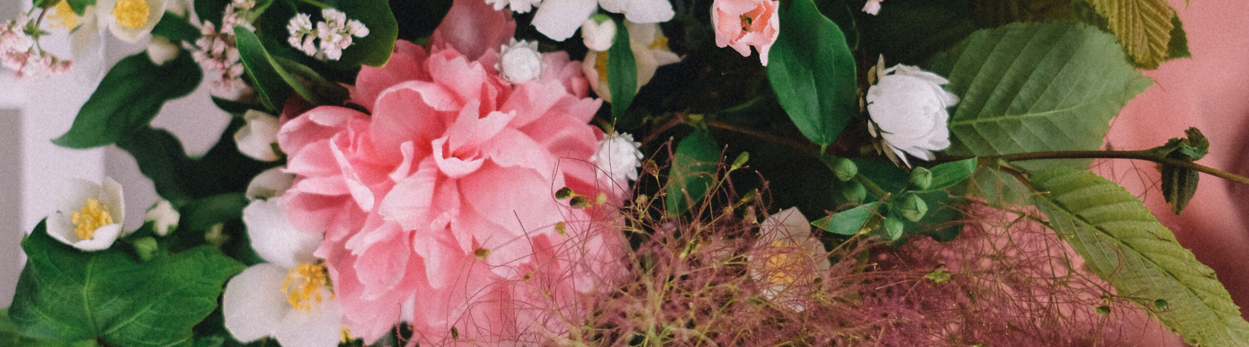 &nbsp;